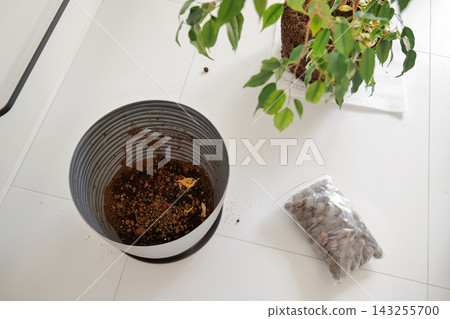 Empty gray planter with black inner insert stands beside an extracted houseplant with its soil rootball and a small transparent bag of granular material. Repotting preparation Empty gray planter with black inner insert stands beside an extracted houseplant with its soil rootball and a small transparent bag of granular material. Repotting preparation 143255700