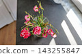 pink carnations arranged in a clear glass vase on a dark surface, serene and elegant top-down perspective, home decor floral arrangement interior design commercial natural light clean copy. 143255847