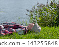 Woman in a light sun hat and checked shirt lying on green grass beside the water with her face turned toward sunlight. Outdoor relaxation and peaceful nature escape 143255848