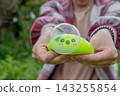 Close up of female hands showing a green cute caterpillar squishy toy with a big transparent bubble. Sensory integration and focus development concept 143255854