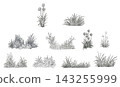 A hand-drawn illustration depicting a grassy field. 143255999