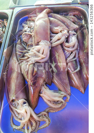 Fresh raw squid for sale in fish market Fresh raw squid for sale in fish market 143256366
