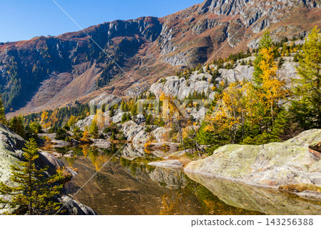 Scenic view of the golden autumn larch trees reflecting in Grunsee lake at Aletsch Forest, Switzerland Scenic view of the golden autumn larch trees reflecting in Grunsee lake at Aletsch Forest, Switzerland 143256388