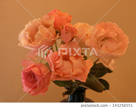 花 花 143256551