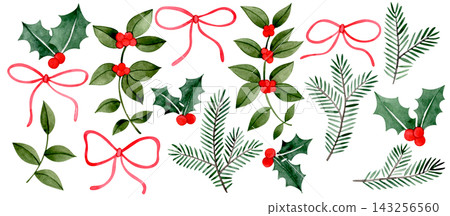 A cute watercolor set of Christmas plants and red bows. 143256560