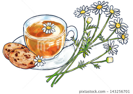 洋甘菊茶、餅乾和一幅手繪花卉插圖。 洋甘菊茶、餅乾和一幅手繪花卉插圖。 143256701