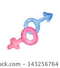 A composition of stylized male and female symbols, hand-painted in watercolor on an isolated background. Simple gender symbol clipart for decorating gifts, holidays, and parties. 143256764