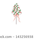 Lollipop with green and pink ribbon on white background 143256938