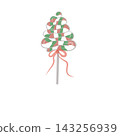 Isolated candy cane lollipop cutout on transparent background 143256939