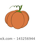 Isolated orange pumpkin with green stem on transparent background 143256944