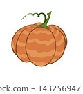 Orange pumpkin with green stem illustration on white background 143256947