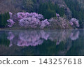 Nakanishi的大町櫻花 143257618