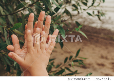 Close-up shot of small child's hand placed over larger adult's hand, symbolizing family love, care, and protection, with blurred green leaves and sandy ground in the background Close-up shot of small child's hand placed over larger adult's hand, symbolizing family love, care, and protection, with blurred green leaves and sandy ground in the background 143258619