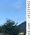 漂浮在山上的雲 143259902