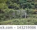Avalanche prevention fences installed on mountain slopes 143259986