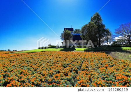Garden of highlands Garden of highlands 143260239