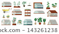 Greenhouse garden vector illustration element set 143261238