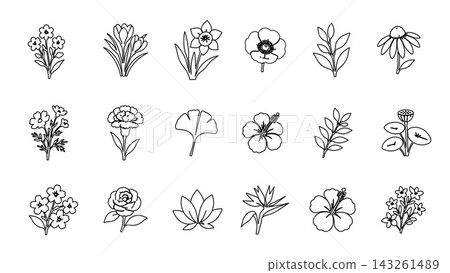 A clean set of minimal line art floral elements featuring various botanical blossoms like daffodil, poppy, hibiscus, ginko leaf, lotus, and carnation line art. A clean set of minimal line art floral elements featuring various botanical blossoms like daffodil, poppy, hibiscus, ginko leaf, lotus, and carnation line art. 143261489