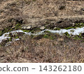 The flow of meltwater heralds the arrival of spring 143262180