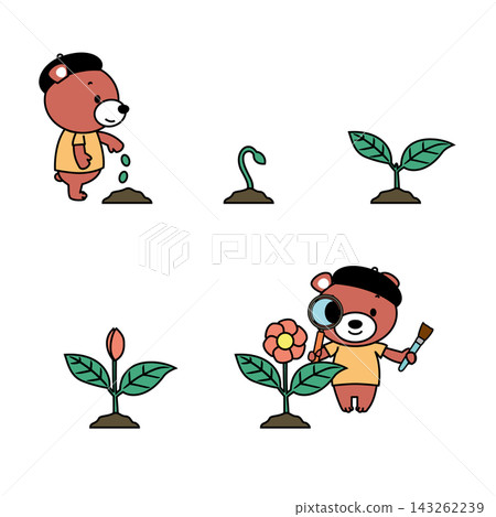 一組插圖描繪了熊的園藝活動以及植物的生長過程（播種、發芽、開花和觀察）。 143262239