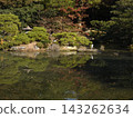 Great Blue Heron in the Oike Garden of the Kyoto Imperial Palace Great Blue Heron in the Oike Garden of the Kyoto Imperial Palace 143262634