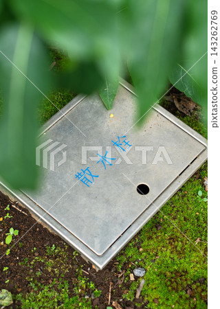 A metal underground water tap cover and water infrastructure surrounded by moss. A metal underground water tap cover and water infrastructure surrounded by moss. 143262769