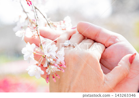 [Spring Wedding Image] Cherry Blossoms and Engagement Ring 143263346