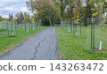 Young Trees Protected in Urban Park 143263472