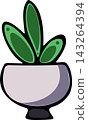 Jade Plant, Pothos, Snake Plant and Ficus and in a white flower pot. House plants. 143264394