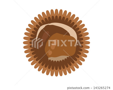 Chestnut illustration 143265274