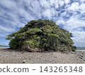 Sky and islands 143265348