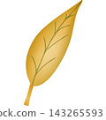 Leaf in autumn hand drawn transparency illustration. 143265593