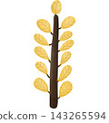Leaf in autumn hand drawn transparency illustration. 143265594