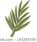 Leaf in autumn hand drawn transparency illustration. 143265595
