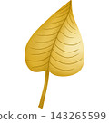 Leaf in autumn hand drawn transparency illustration. 143265599