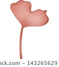 Leaf in autumn hand drawn transparency illustration. 143265629