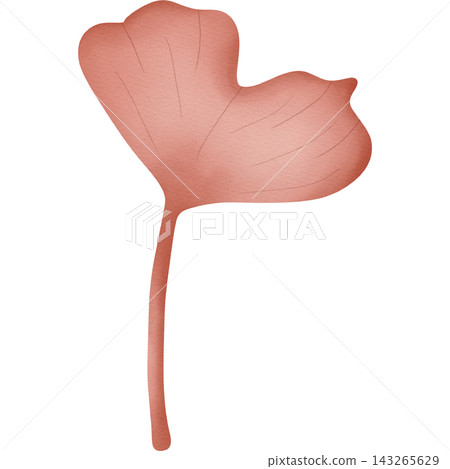 Leaf in autumn hand drawn transparency illustration. Leaf in autumn hand drawn transparency illustration. 143265629
