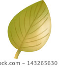 Leaf in autumn hand drawn transparency illustration. 143265630
