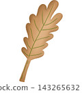 Leaf in autumn hand drawn transparency illustration. 143265632