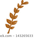 Leaf in autumn hand drawn transparency illustration. 143265633