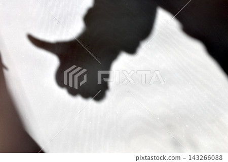 Shadow of a hand with the thumb raised, on a light textured background. 143266088