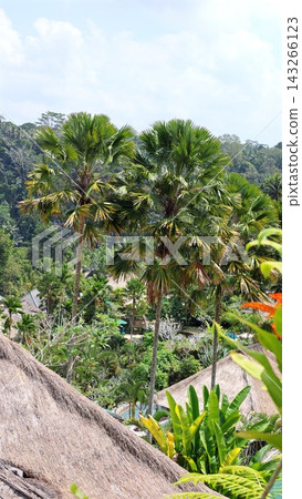Tropical resort nestles among tall palms and lush hillside greenery beneath bright cloudy sky. Thatched roofs and garden paths create tranquil retreat framed by dense tropical vegetation. Tropical resort nestles among tall palms and lush hillside greenery beneath bright cloudy sky. Thatched roofs and garden paths create tranquil retreat framed by dense tropical vegetation. 143266123