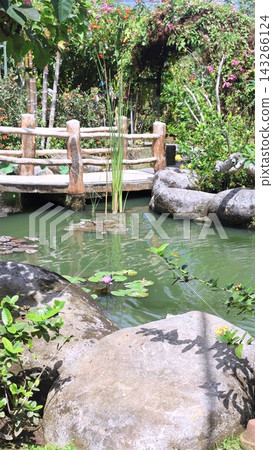 Garden pond with water lily sits beside large natural stones and dense flowering greenery. Wooden footbridge crosses water, creating serene retreat with lush, carefully landscaped appearance. Garden pond with water lily sits beside large natural stones and dense flowering greenery. Wooden footbridge crosses water, creating serene retreat with lush, carefully landscaped appearance. 143266124