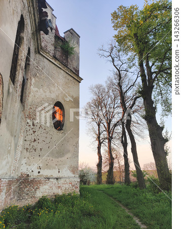 Architectural details of the ruined St. Mary Magdalene Church in Vovkiv Architectural details of the ruined St. Mary Magdalene Church in Vovkiv 143266306