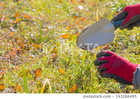 A hand holding a gardening trowel while wearing a red work glove. A hand holding a gardening trowel while wearing a red work glove. 143266495