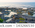 退潮時，潮池和寧靜的海面鋪滿了岩石海岸。 143266530