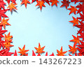 一幅以藍色為背景的畫框，上麵點綴著秋天的楓葉。 143267223