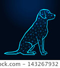 Low poly wireframe dog sitting profile on dark blue background. 143267932