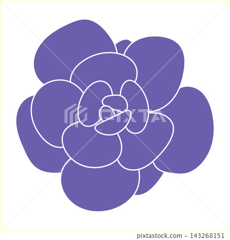 Succulent doodle style. Desert flower sketch. Outline very peri drawing plant. Succulent doodle style. Desert flower sketch. Outline very peri drawing plant. 143268151