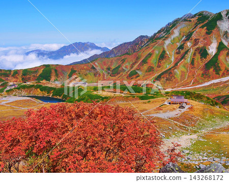 室堂高原和立山別山,染上了秋草的顏色。 室堂高原和立山別山,染上了秋草的顏色。 143268172